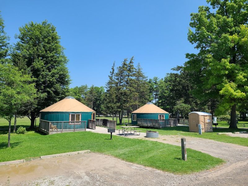 Groveland Oaks Yurts, Holly