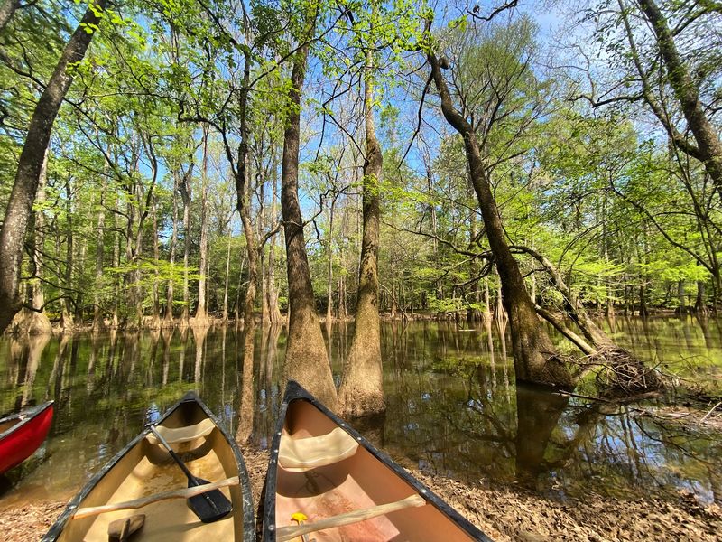 Paddling Cedar Creek By Canoe or Kayak