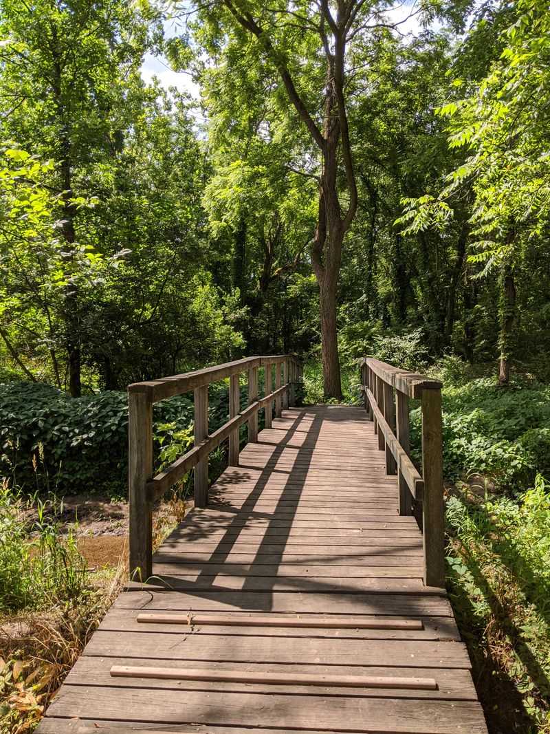 Trails Through Oaks And Quiet
