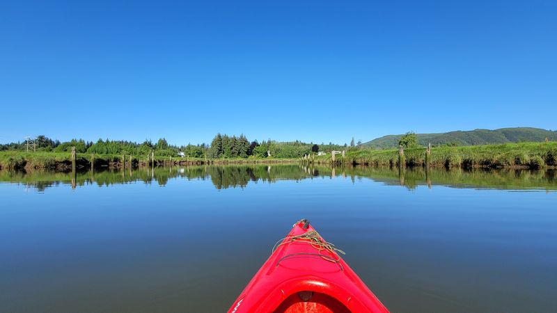 Paddling The Serene Willapa River