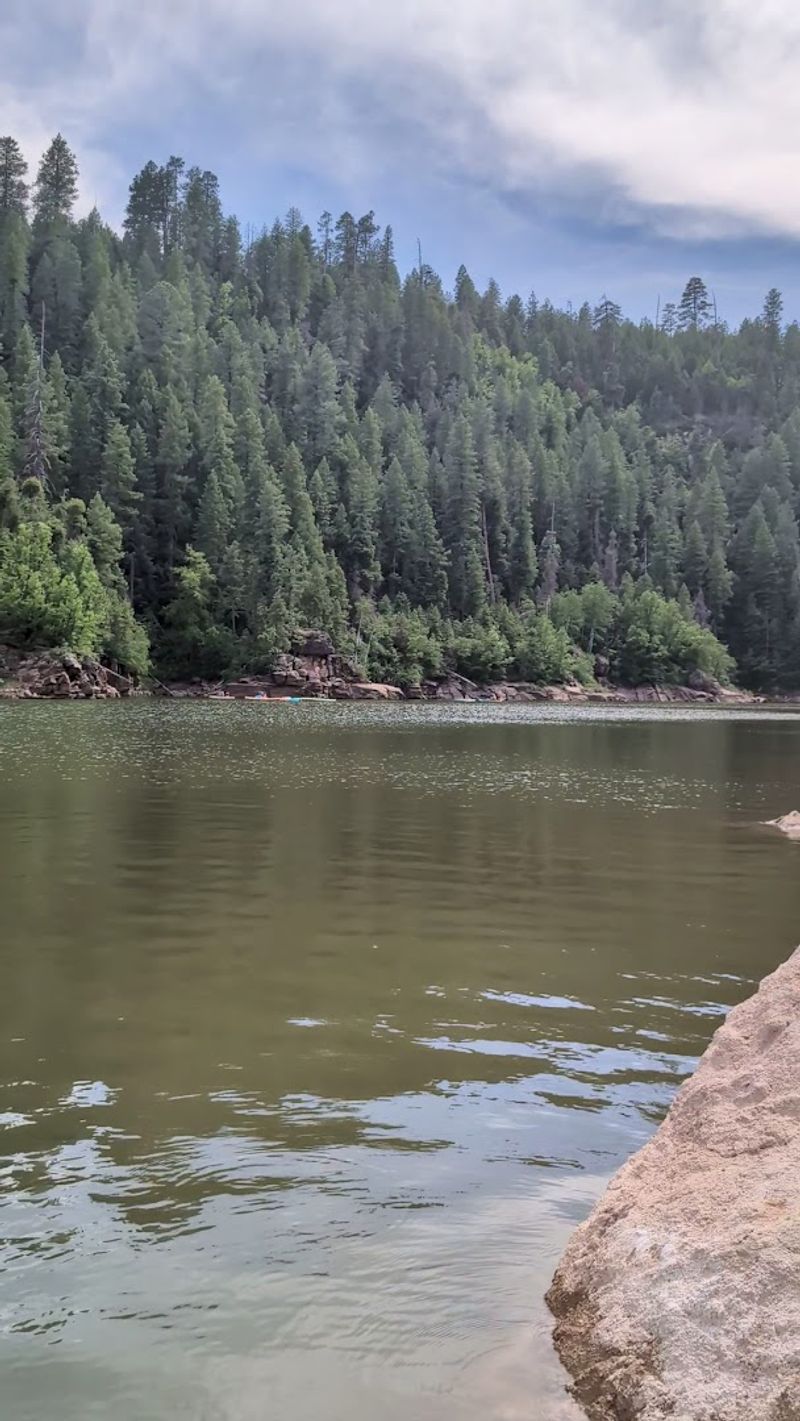 FishingFor Trophy TroutIn The Trees