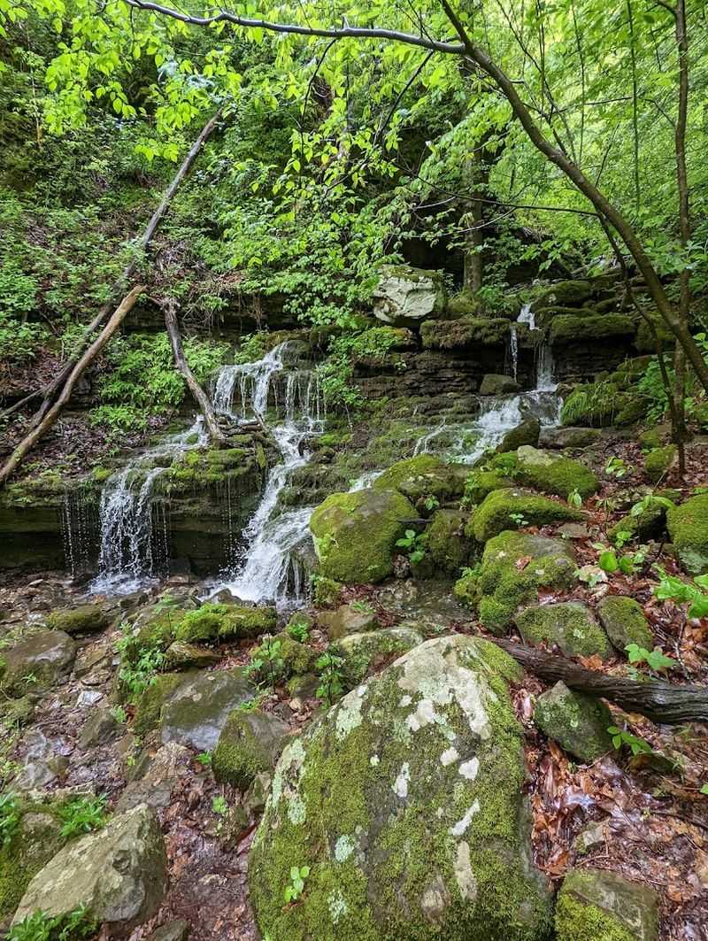 Broadwater Hollow Falls And The Cascades Along The Creek