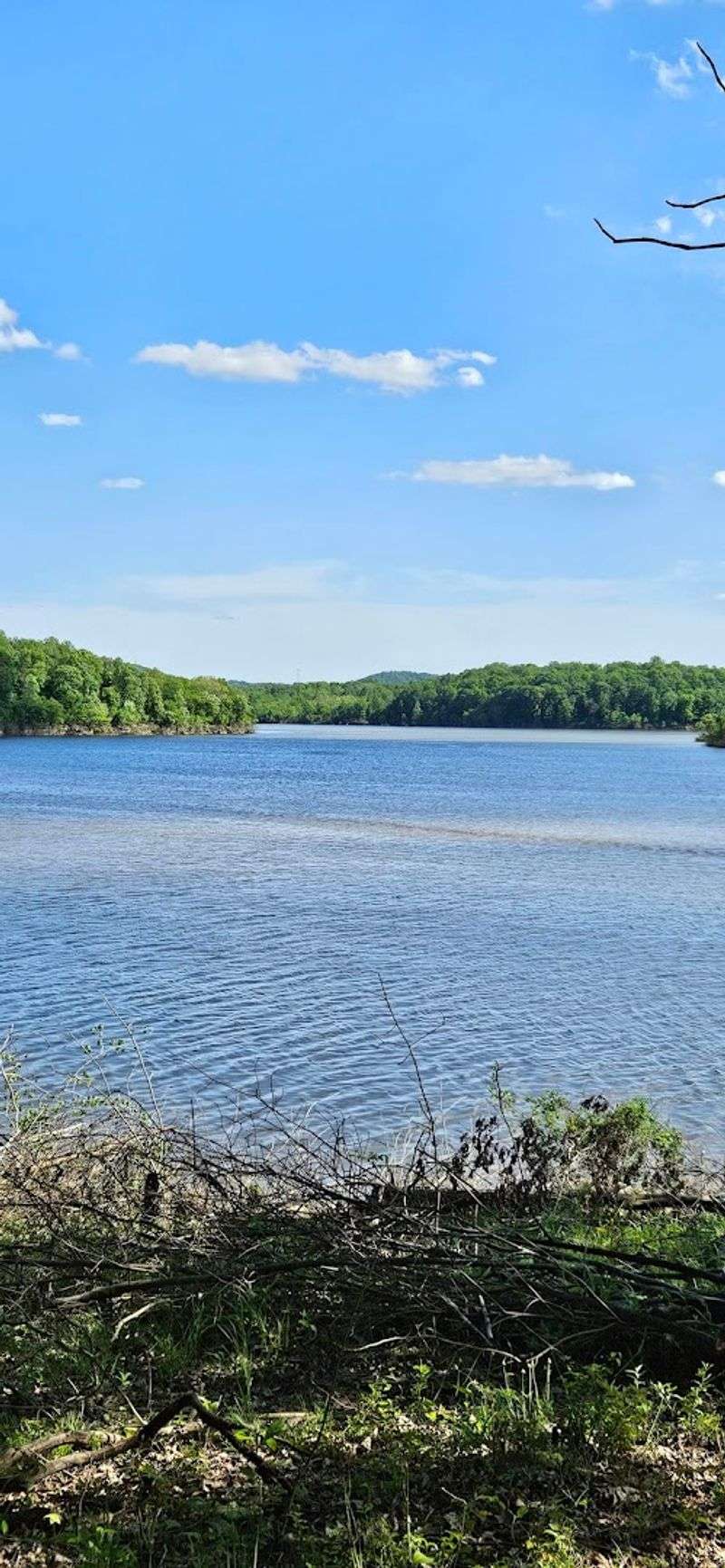 Paint Creek State Park Campground, Bainbridge, OH