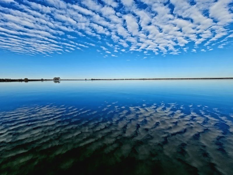 Jackson Lake State Park - Orchard