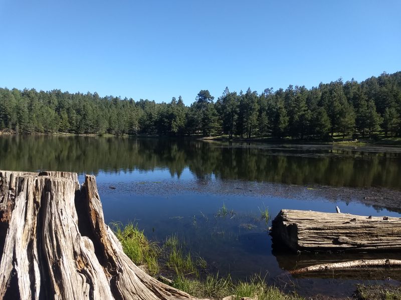 Mount Graham Wilderness — Near Safford, AZ