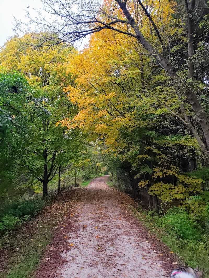 Painted Trout Trail