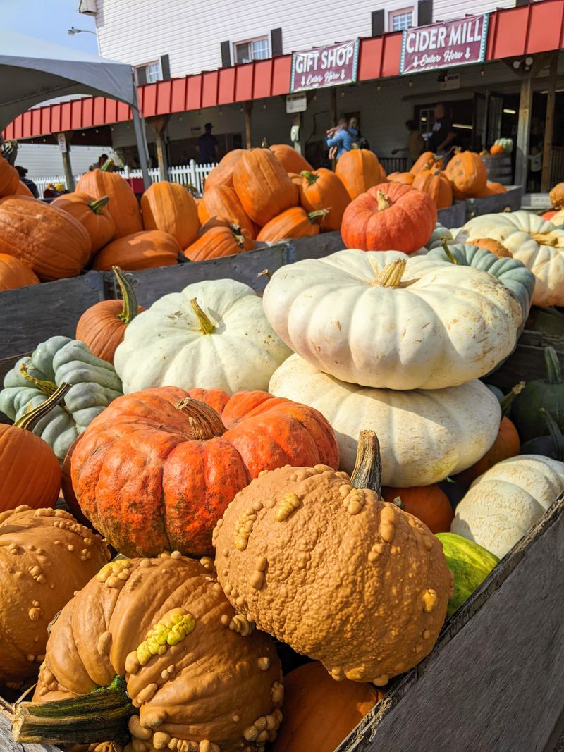 Navigate The Pie Barn Without Melting Down