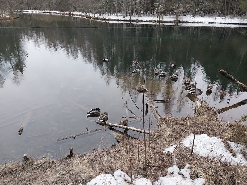 Check Hours And Entry Details