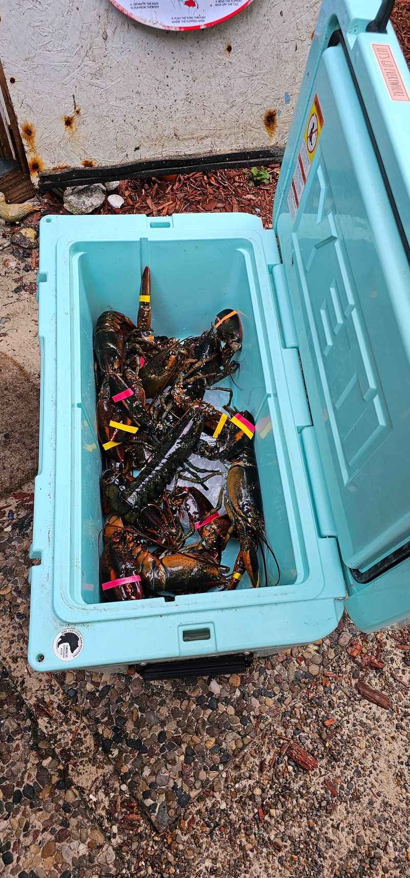 Respect The Queue, Enjoy The Chatter