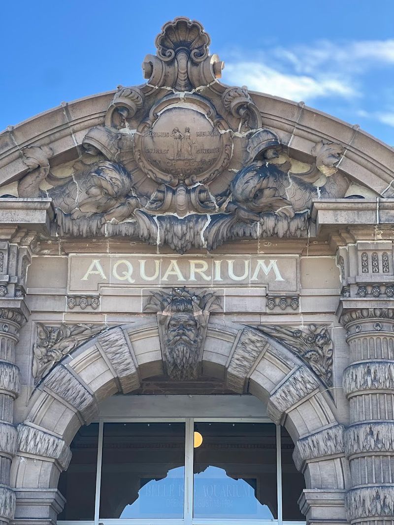 Support Through Donations