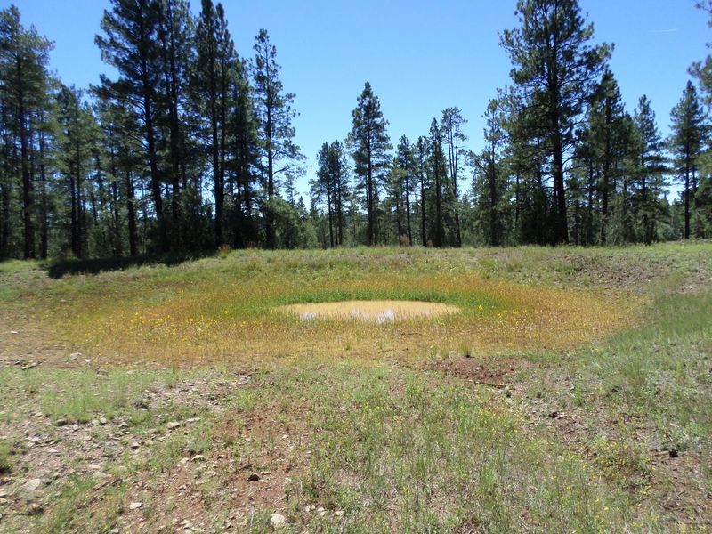 Pajarita Wilderness, Santa Cruz County Pajarita Wilderness, Santa Cruz County