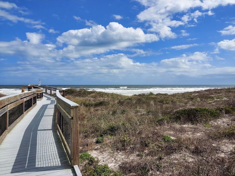 Dune Ridge Trail – Little Talbot Island State Park
