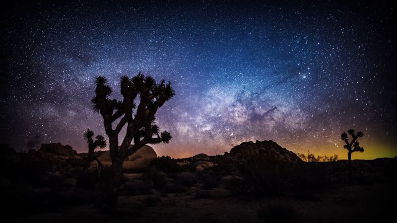 Joshua Tree National Park & Town