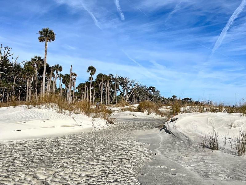 Palm Trees And Wild Sand Straight Off A Postcard Palm Trees And Wild Sand Straight Off A Postcard