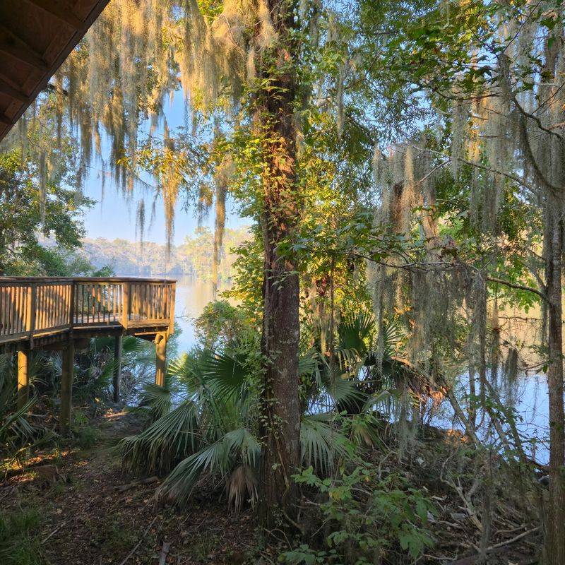 Palmetto Island State Park