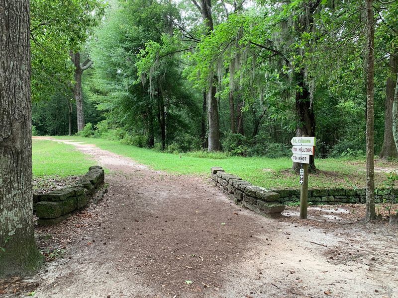 Palmetto Trail - Poinsett State Park Passage