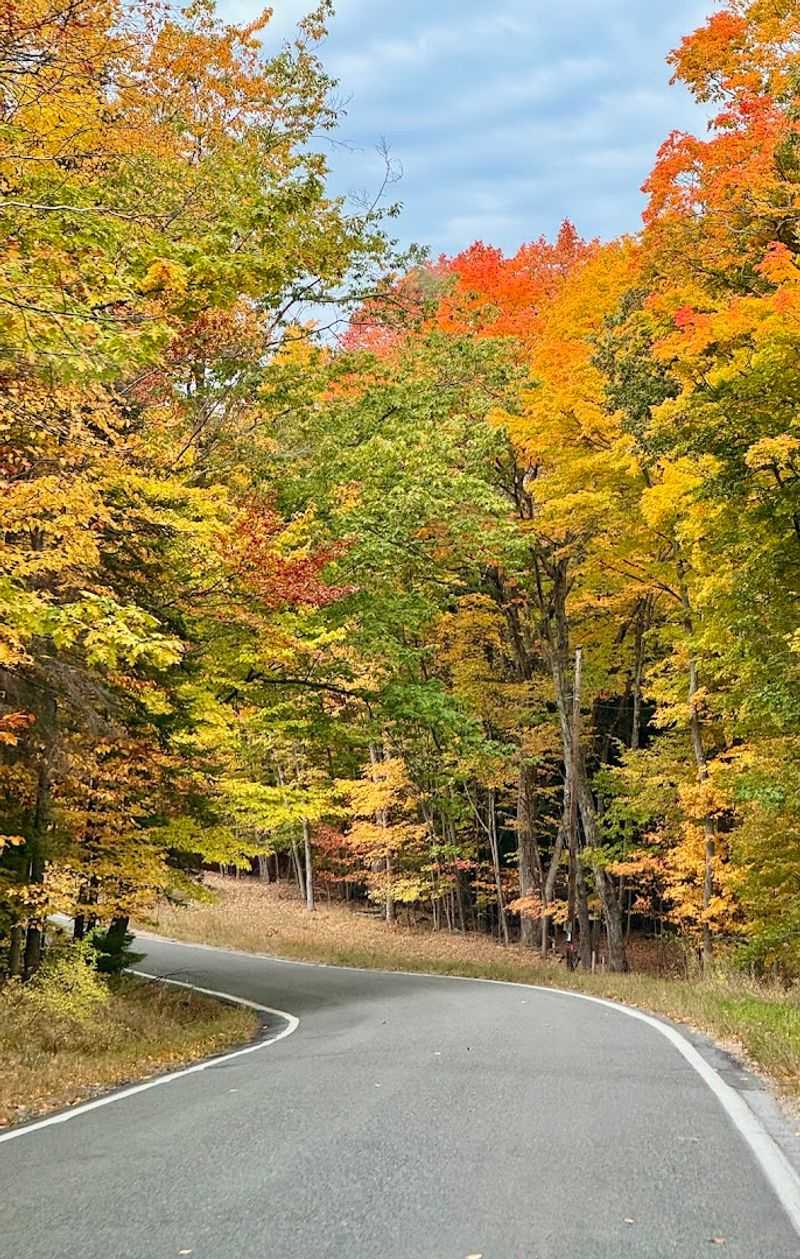 Tunnel Of Trees, Harbor Springs To Cross Village
