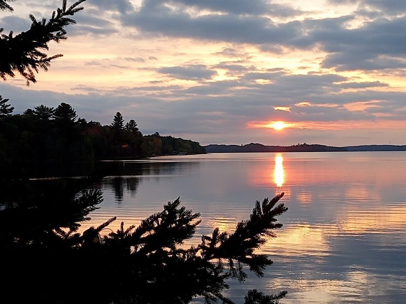 Van Riper State Park, Champion