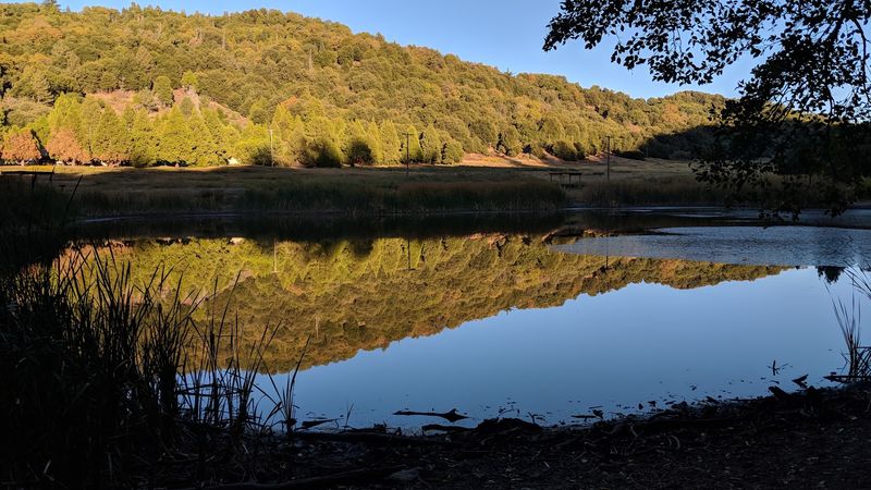 Palomar Mountain State Park