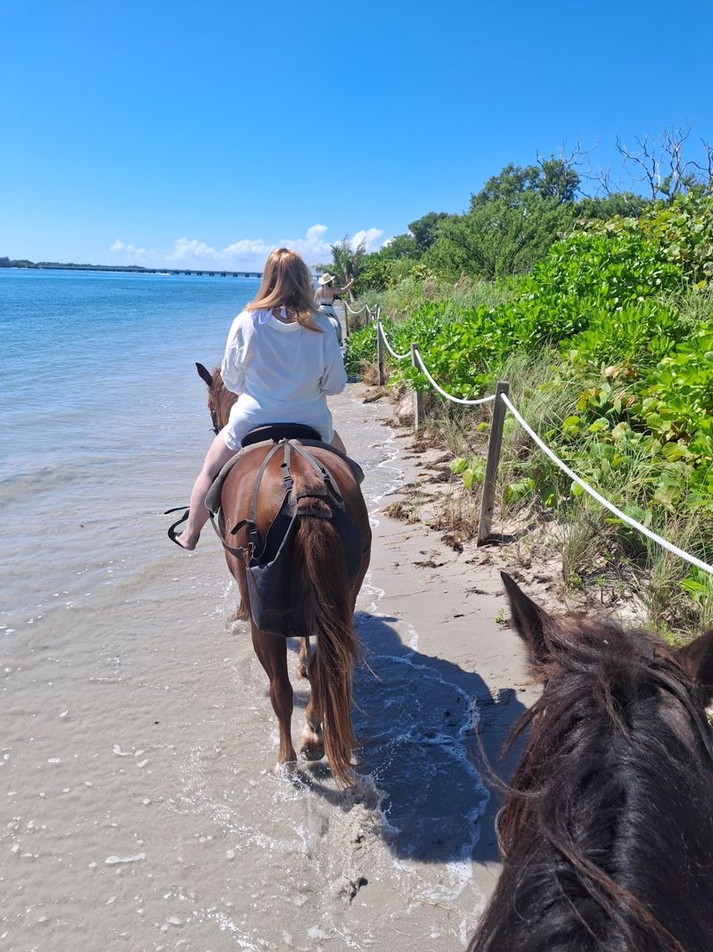 Palomino Ranch and Tours LLC, Miami