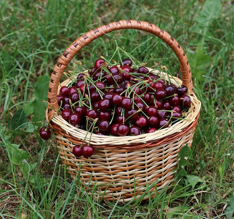 Flathead Cherries