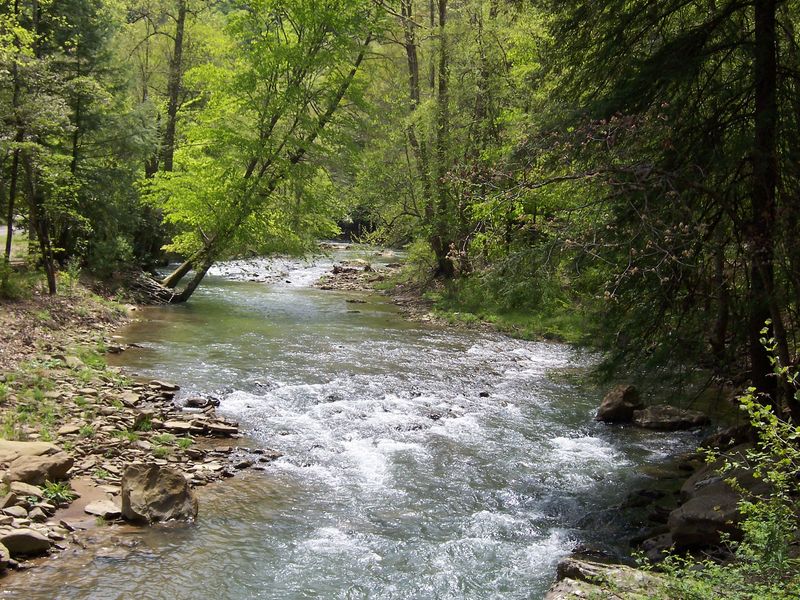 Panther State Forest Campground