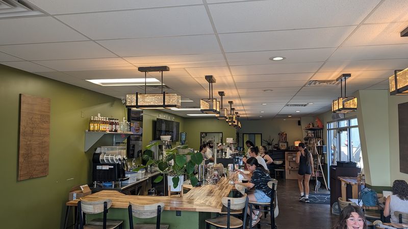 Paper Fox Coffee, Tallahassee