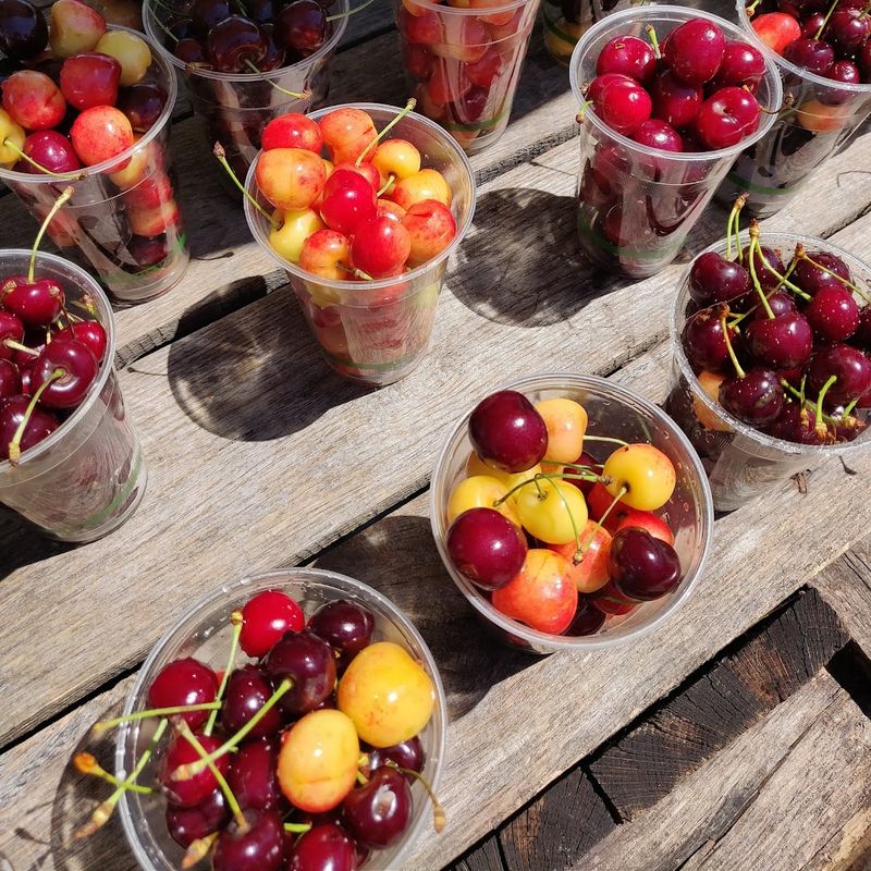 Farm Market And Orchard Roots