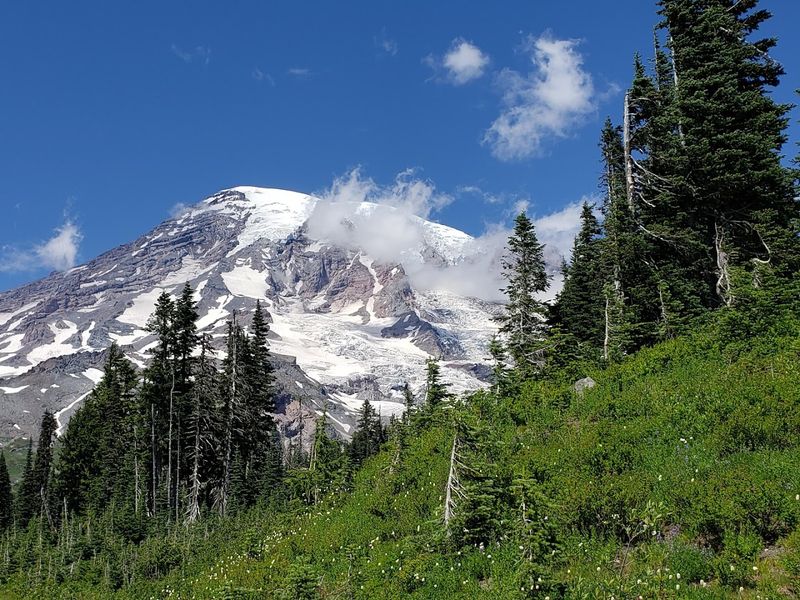 Paradise And Nisqually Vista Trail, Mount Rainier National Park