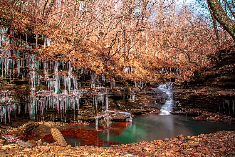 Paradise Falls, Deer