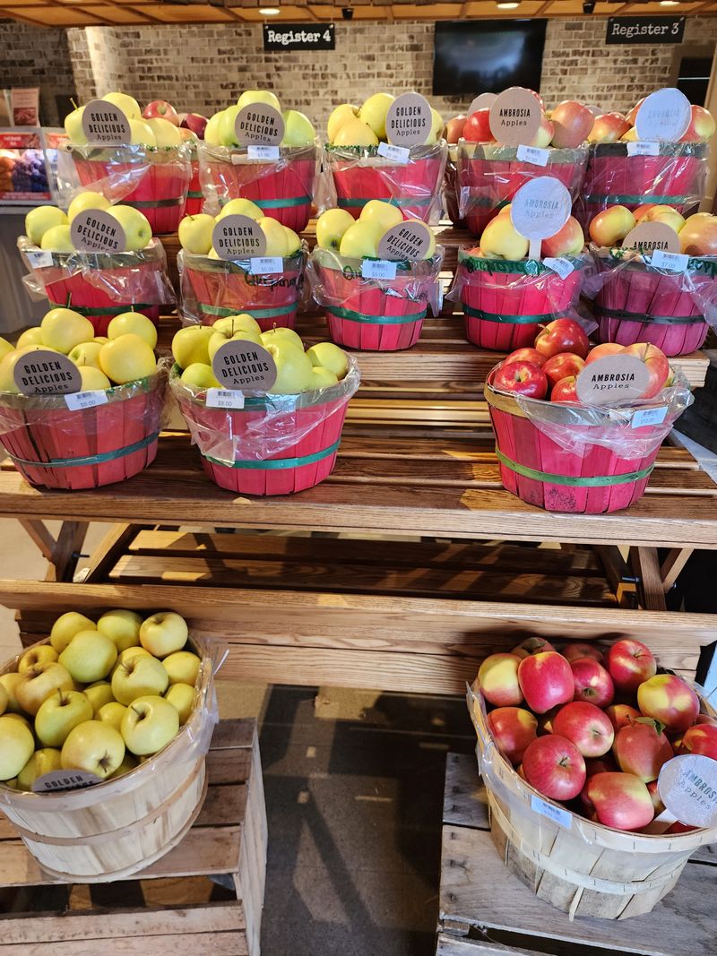 Apple Cannons And The Joy Of Aim