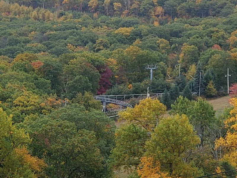 Seasonal Availability That Requires Smart Planning