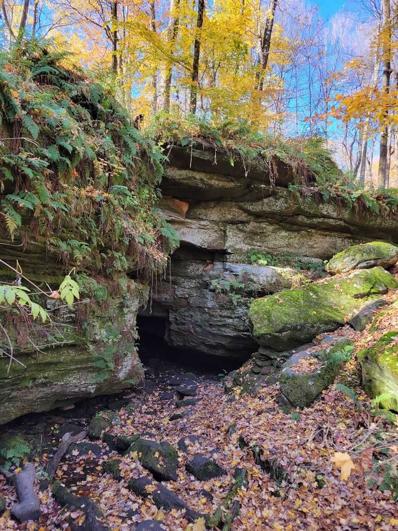 Butternut Trail to Rock City Cave, Malabar Farm State Park, Lucas, Ohio