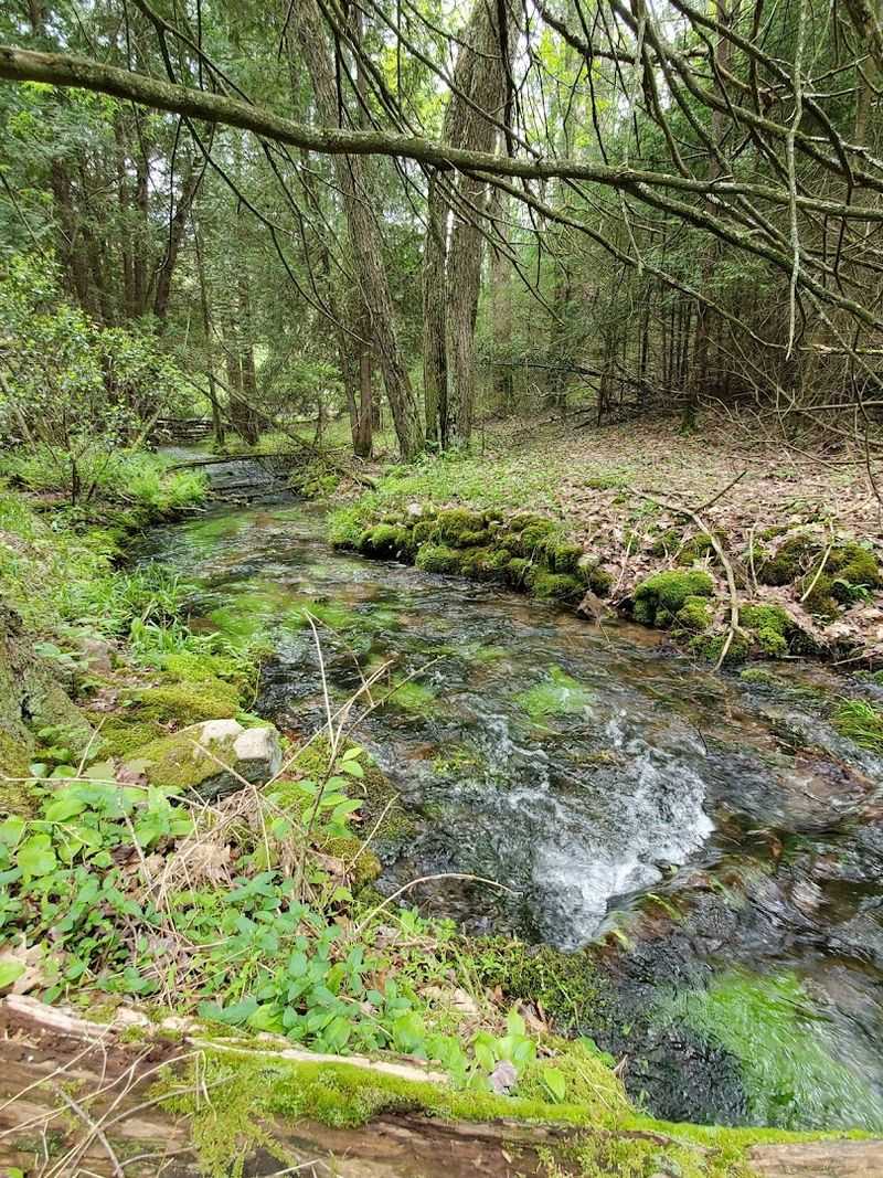 Penn-Roosevelt State Park, Centre County, Pennsylvania