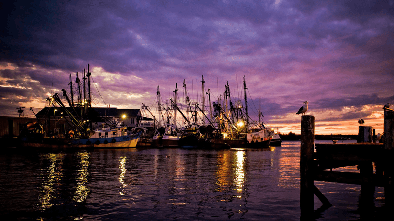The Shrimp Box & Outside The Box Patio Bar