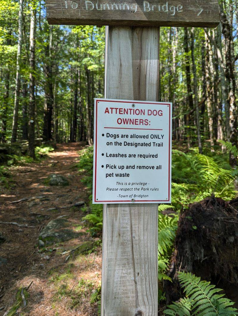 Parking, Dogs, And Finding The Right Entrance