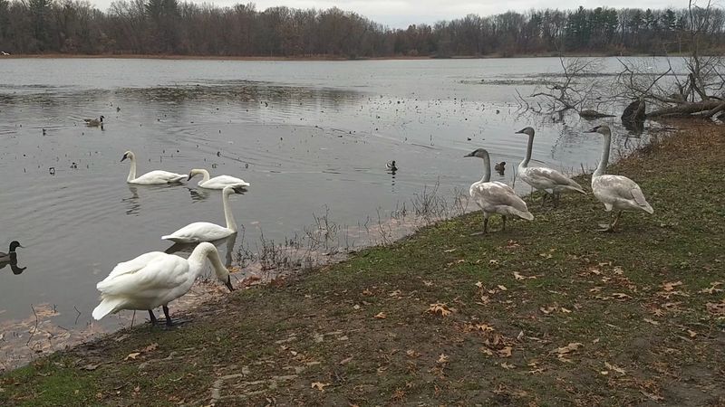 Weather Swings And Gear Choices