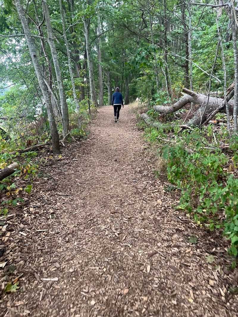 The Hartley Mason Reserve Connection