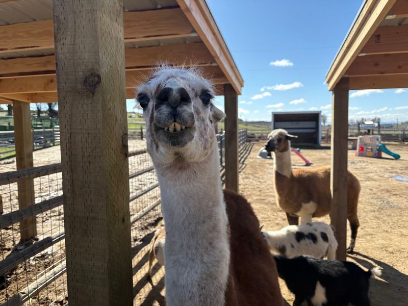 A Heartwarming Experience You Won’t Find Anywhere Else