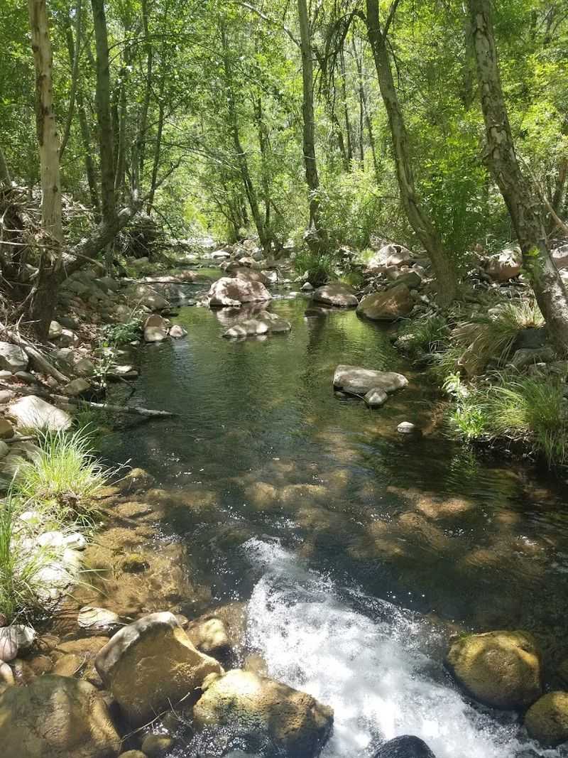 Parsons Spring And The Hidden Swimming Pool