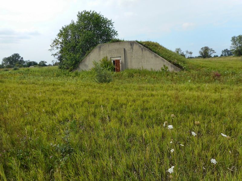 Part of a former ammunition plant is becoming prairie