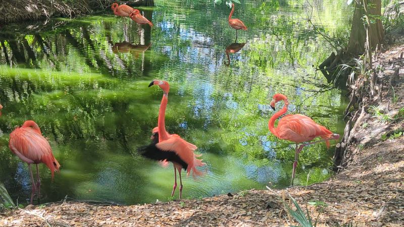 Specialized Diet And Nutrition Programs