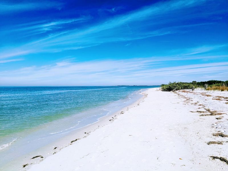 Caladesi Island State Park, Dunedin