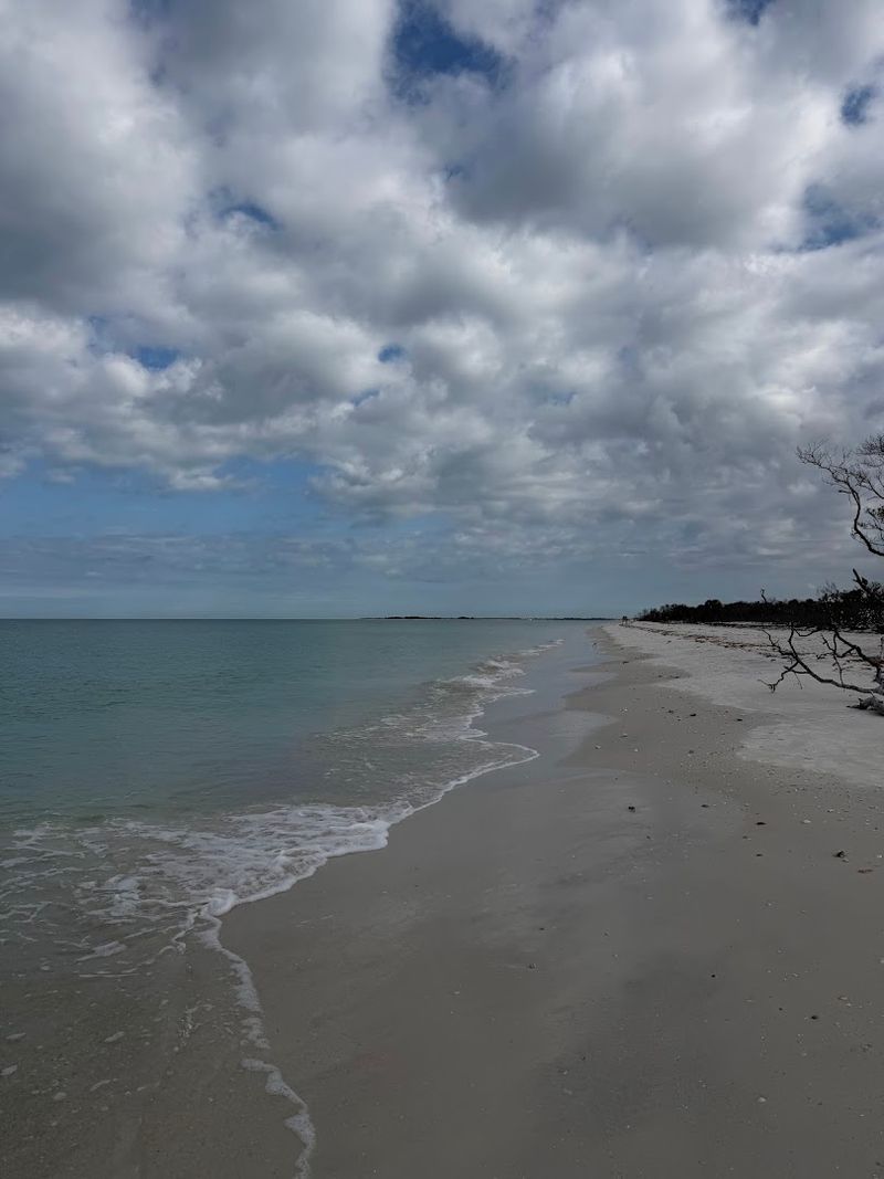 Caladesi Island State Park, Dunedin