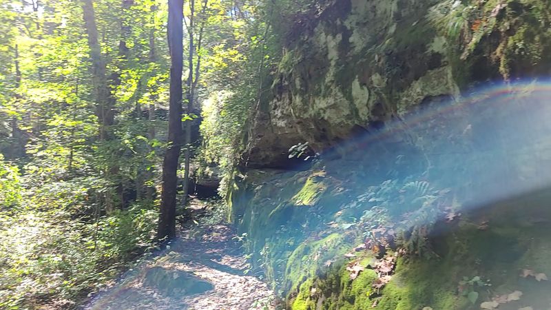 Perfect Destination for Bird Watching Enthusiasts