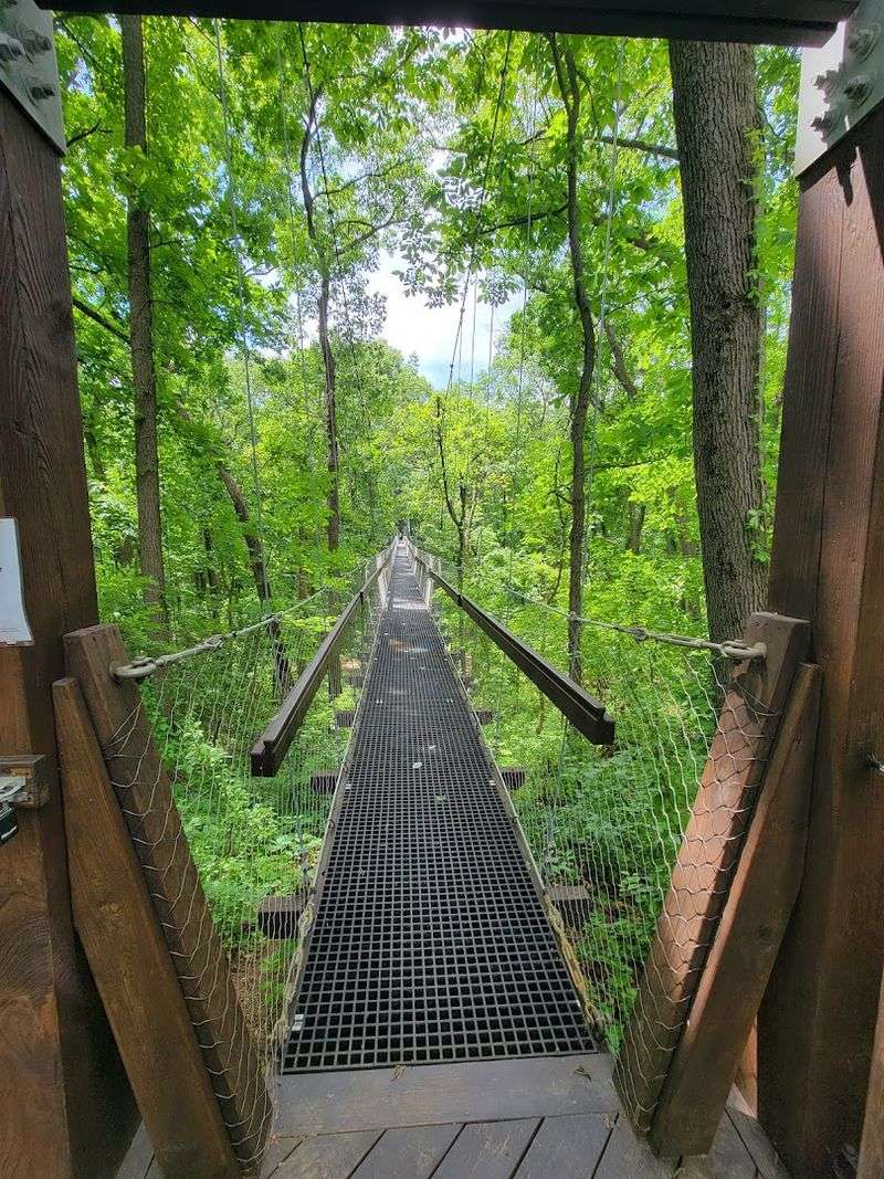 Past The Highway, Into The Green