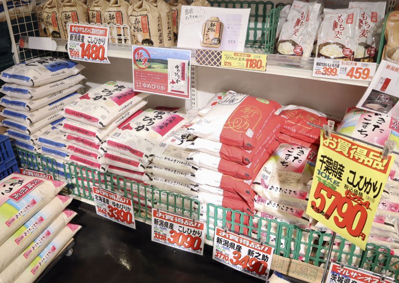 Rice: Grain Price Gains Pain Households