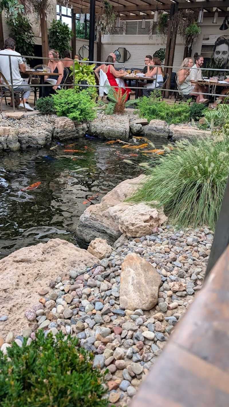 The Koi Pond Patio: A Dining Experience Unlike Any Other
