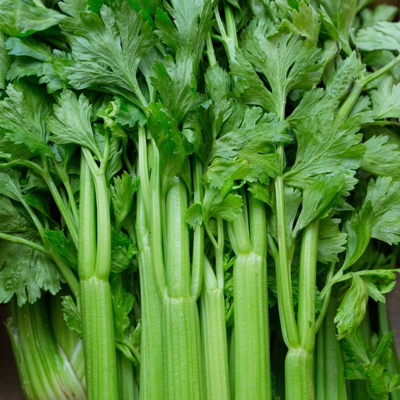 Celery's Chemical Change
