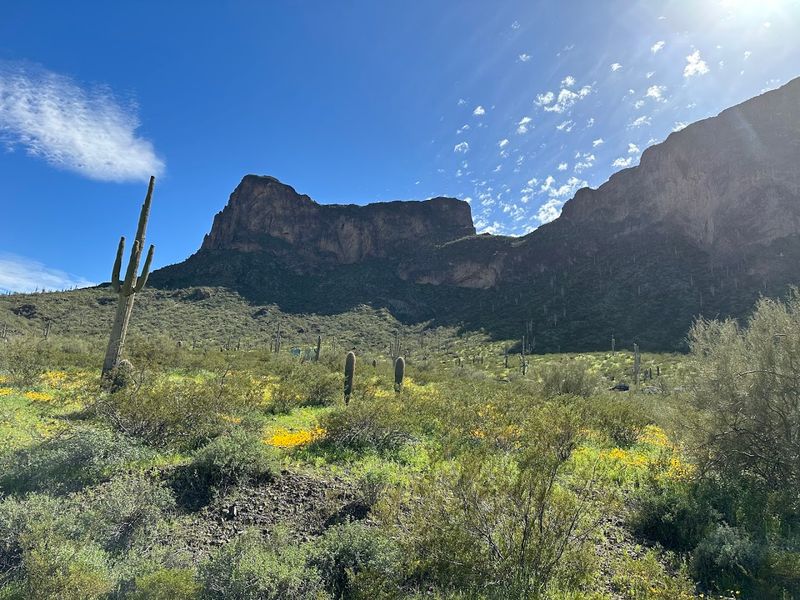 Picacho Peak State Park, Arizona